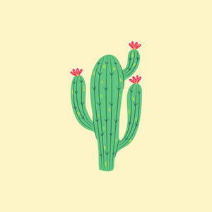 Bloomy Cactus