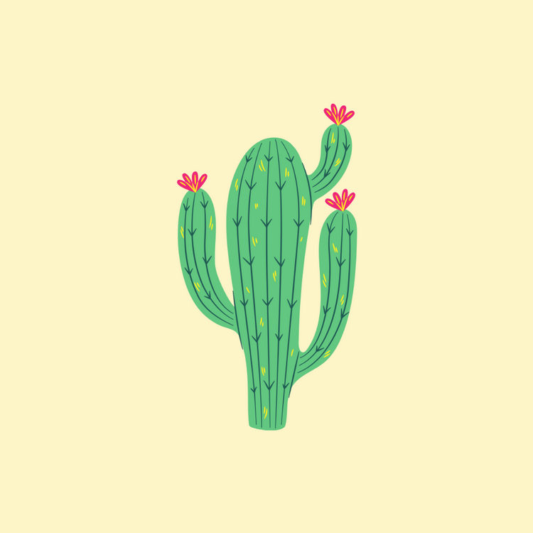 Bloomy Cactus Collection